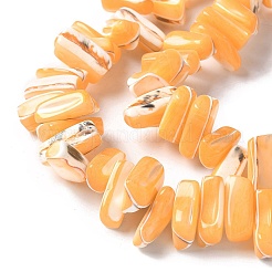 Dyed Natural Trochus Shell Beads Strands&nbsp;SSHEL-C013-09C