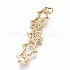Brass Micro Pave Cubic Zirconia Pendants&nbsp;ZIRC-L083-016G