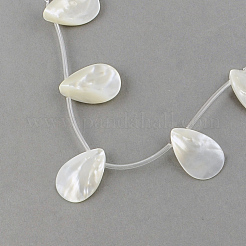 Natural Sea Shell Beads Strands&nbsp;X-SSHEL-Q296-01