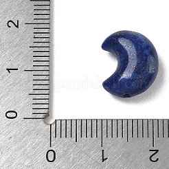 Natural Lapis Lazuli Beads&nbsp;G-T149-01E
