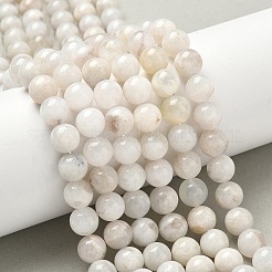 Natural White Moonstone Beads Strands&nbsp;G-F674-08-8mm-01