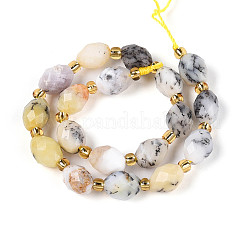 Natural Flower Opal Beads Strands&nbsp;G-N342-53-8x6-14