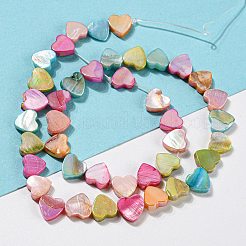 Electroplated Natural Freshwater Shell Beads Strands&nbsp;BSHE-G034-10