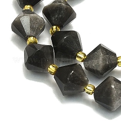 Natural Silver Obsidian Beads Strands&nbsp;G-I376-C13-01