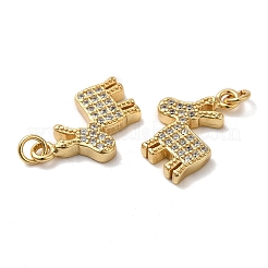 925 Sterling Silver Micro Pave Cubic Zirconia Charms&nbsp;STER-I010-11G