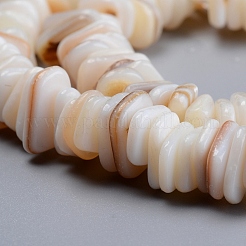 Natural Freshwater Shell Beads Strands&nbsp;SHEL-D078-01B