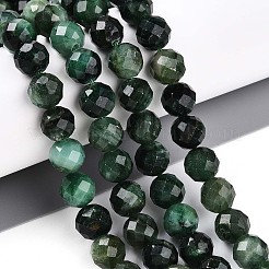 Natural Fuchsite Beads Strands&nbsp;G-S345-8mm-33
