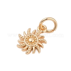 Brass Charms&nbsp;KK-Q096-18G