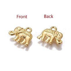 Tibetan Style Alloy Charms&nbsp;X-PALLOY-P220-01G-NR
