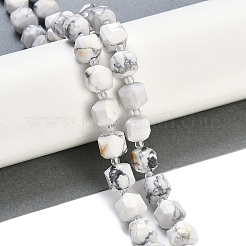 Natural Howlite Beads Strands&nbsp;G-B125-O01-01