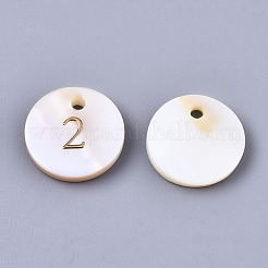 Natural Freshwater Shell Charms&nbsp;SHEL-Q023-02