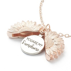 Openable Alloy Pendant Necklaces&nbsp;NJEW-M186-02RGP