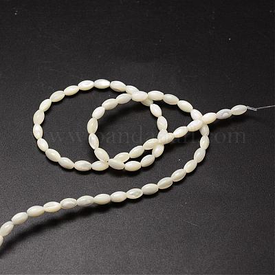 Natural Trochid Shell/Trochus Shell Beads Strands&nbsp;SSHEL-K008-06-1