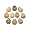 Natural Picture Jasper Cabochons, teardrop, 13~14x9~10x5mm