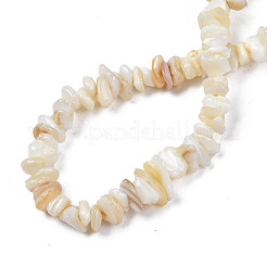 Natural Freshwater Shell Beads Strands&nbsp;SHEL-S278-070G