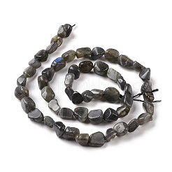Natural Larvikite Beads Strands&nbsp;G-A208-08