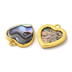Natural Paua Shell Pendants&nbsp;KK-E059-10G