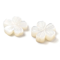 Natural White Shell Carved Beads&nbsp;SSHEL-Z002-02A