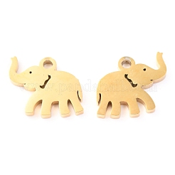 304 Stainless Steel Charms&nbsp;STAS-O142-71G
