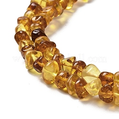 Natural Amber Beads Strands&nbsp;G-L095-L01-01