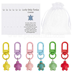 24Pcs Resin Tortoise Pendant Decoration&nbsp;HJEW-CP0001-27