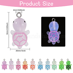 60Pcs 10 Styles Luminous Transparent & Opaque Resin Pendants Sets&nbsp;RESI-CA0001-71