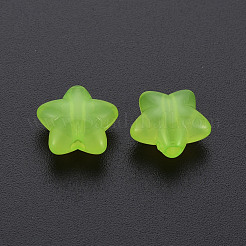 Transparent Acrylic Beads&nbsp;MACR-S373-26E-05