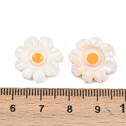 Natural Freshwater Shell Cabochons&nbsp;SHEL-B005-01