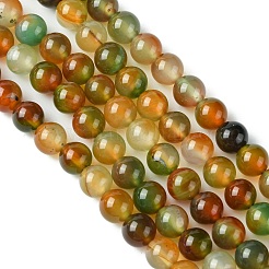 Natural Peacock Agate Beads Strands&nbsp;G-G444-8mm-02