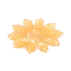 Acrylic Pendants&nbsp;LS-KY-I008-02C