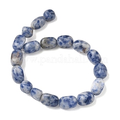Natural Blue Spot Jasper Beads Strands&nbsp;G-C286-A01