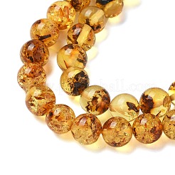 Natural Amber Beads Strands&nbsp;G-K387-D02-01