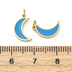 304 Stainless Steel Enamel Charms&nbsp;STAS-E550-59G