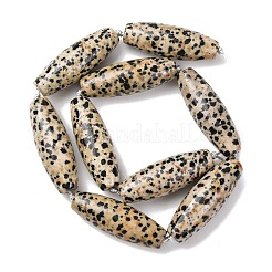 Natural Dalmatian Jasper Beads Strands&nbsp;G-L654-G04-01