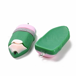 Resin Pendants&nbsp;RESI-M026-02