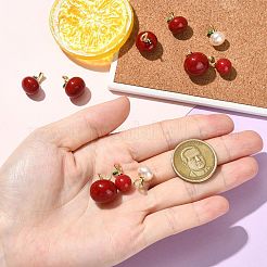 10Pcs 5 Styles Brass Resin Pendants&nbsp;FIND-CJ0005-12