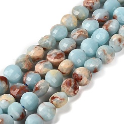 Synthetic ShouShan Stone Beads Strands&nbsp;G-C179-A6mm-26