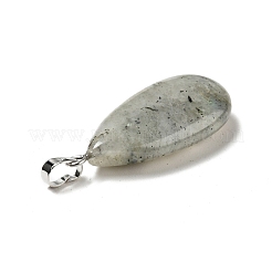 Natural Labradorite Pendants&nbsp;G-P474-01P-07