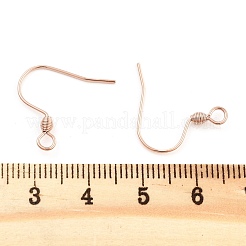 304 Stainless Steel Earring Hooks&nbsp;STAS-E484-55RG
