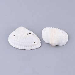 Sea Shell Links&nbsp;SSHEL-T008-32