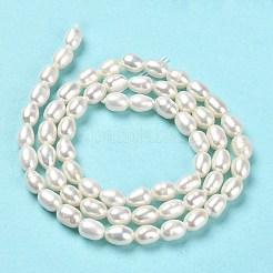 Natural Cultured Freshwater Pearl Beads Strands&nbsp;PEAR-E016-145