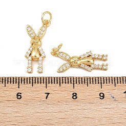 Brass Micro Pave Cubic Zirconia Pendants&nbsp;KK-H093-16A-G