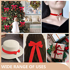 Velvet Ribbon&nbsp;SRIB--WH0030-01A