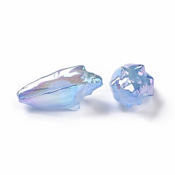 UV Plating Rainbow Iridescent Acrylic Beads&nbsp;OACR-E007-04A