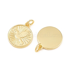 Brass Pendants&nbsp;KK-L275-67G-G