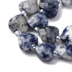 Natural Blue Spot Jasper Beads Strands&nbsp;G-P570-E19-01