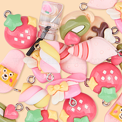 30Pcs 2 Styles Ocean Theme Opaque Resin Pendants&nbsp;RESI-SC0036-48