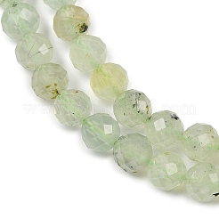 Natural Prehnite Beads Strands&nbsp;G-G281-B02-6mm