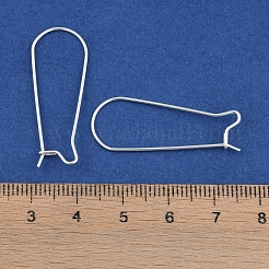 304 Stainless Steel Hoop Earring Findings&nbsp;LS-STAS-P223-01S-04
