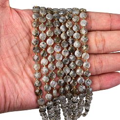 Natural Labradorite Beads Strands&nbsp;G-K389-B66-01